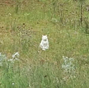 Meet your Posher, Jay